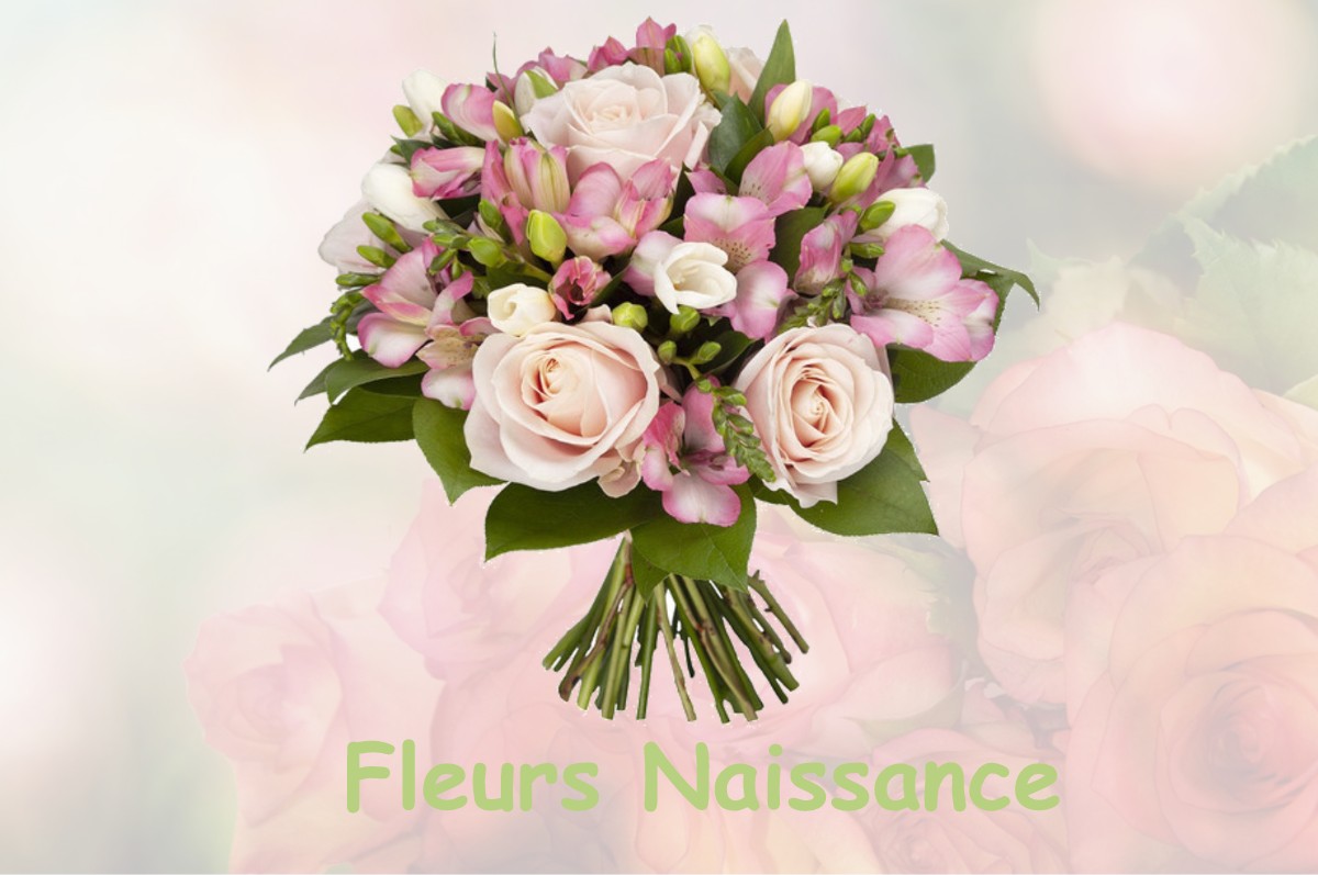 fleurs naissance BELESTA-EN-LAURAGAIS