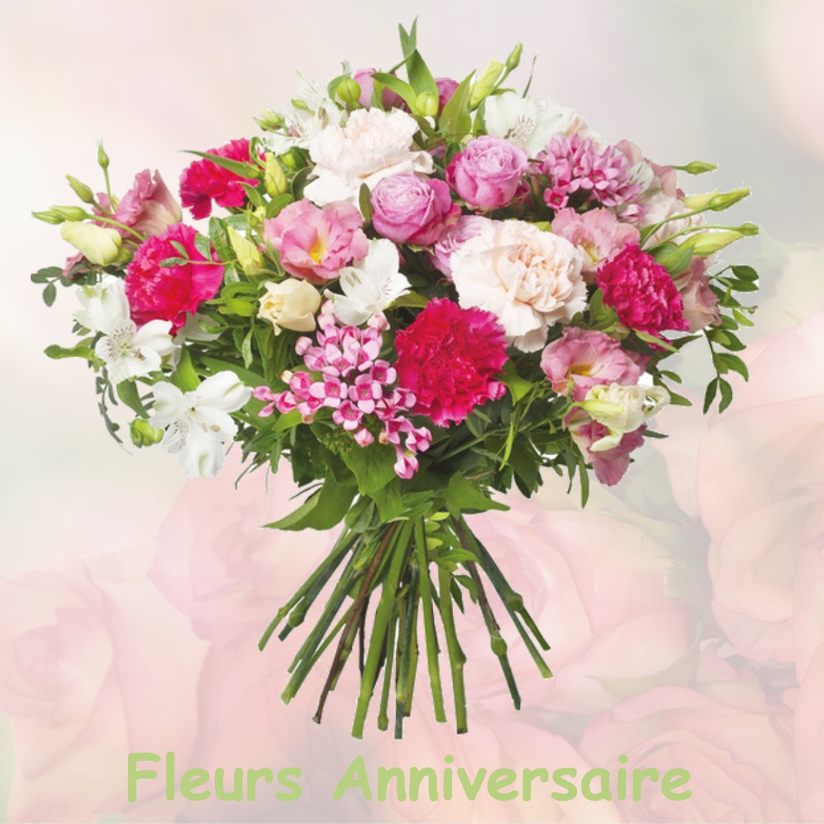 fleurs anniversaire BELESTA-EN-LAURAGAIS