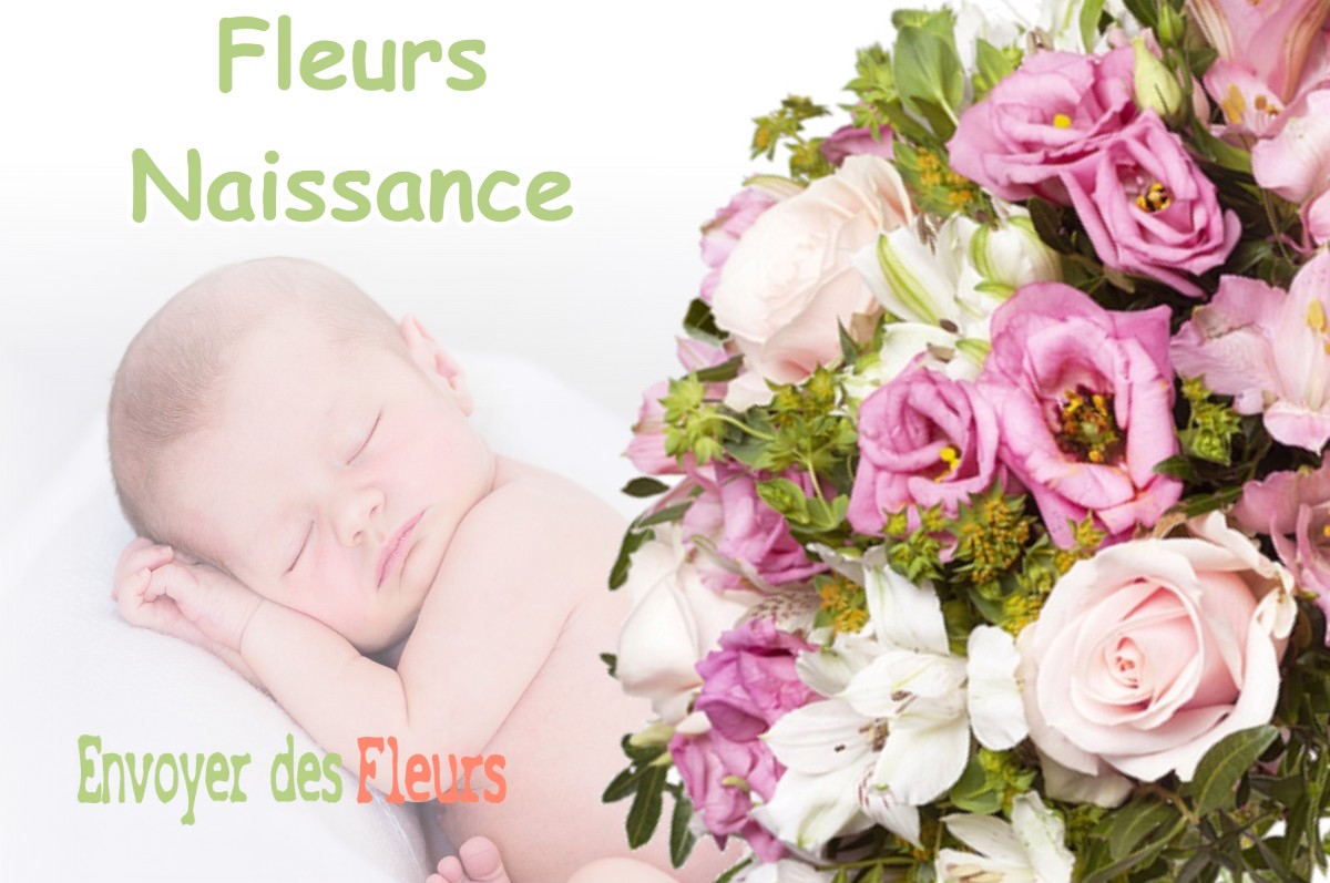 lIVRAISON FLEURS NAISSANCE à BELESTA-EN-LAURAGAIS